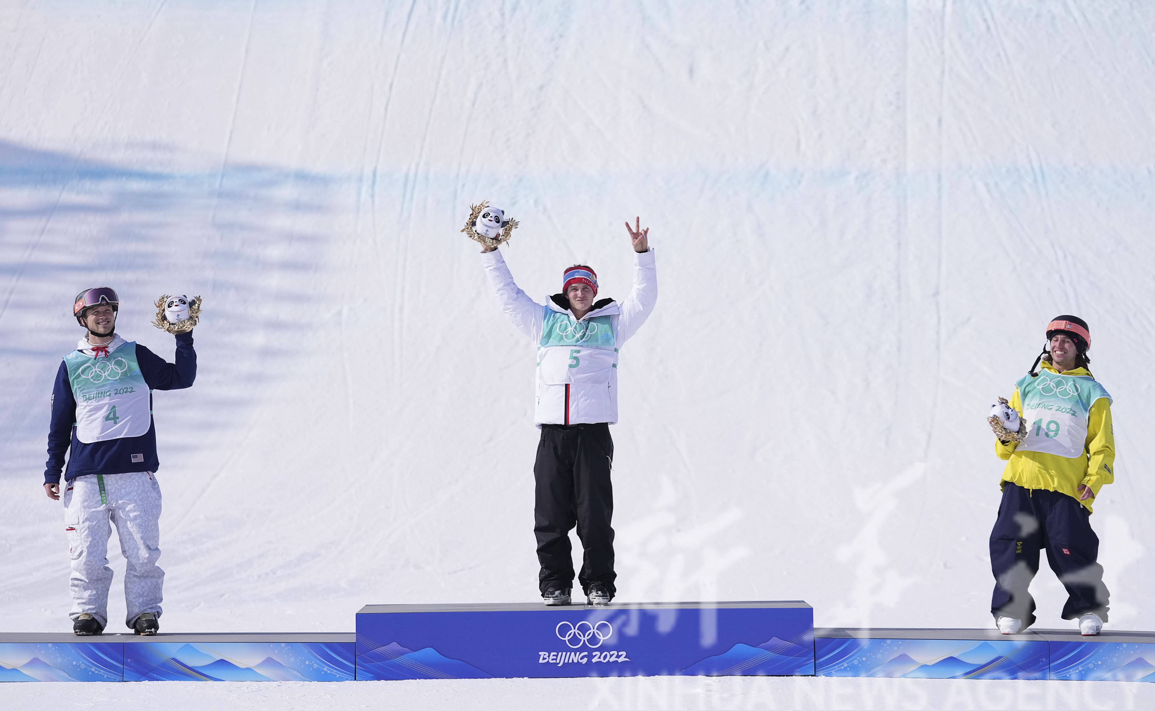 爱游戏体育直播-瑞典选手夺得亚军，备受称赞(瑞典史上最伟大的15位选手cs)