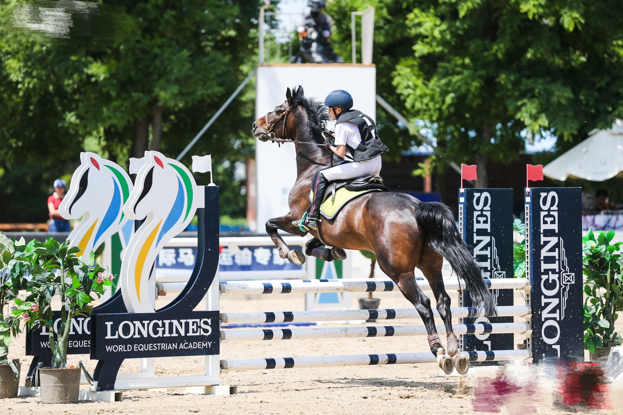 爱游戏登录入口-包含德国马术运动员驾驭得当，赢得团体冠军赛的词条