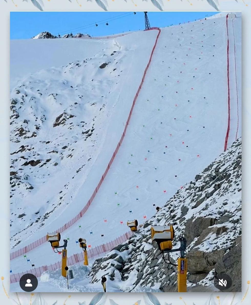 瑞士滑雪选手飘逸表现,斩获银牌的简单介绍 瑞士滑雪选手飘逸表现,斩获银牌的简单介绍